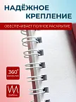 Фото 3 — Альбом для рисования детский а4 на спирали, 40 л 2 шт